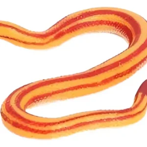 AA FIG SERPIENTES SURT X1