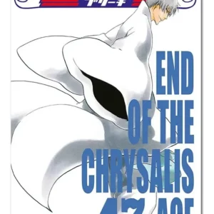 Bleach N.47